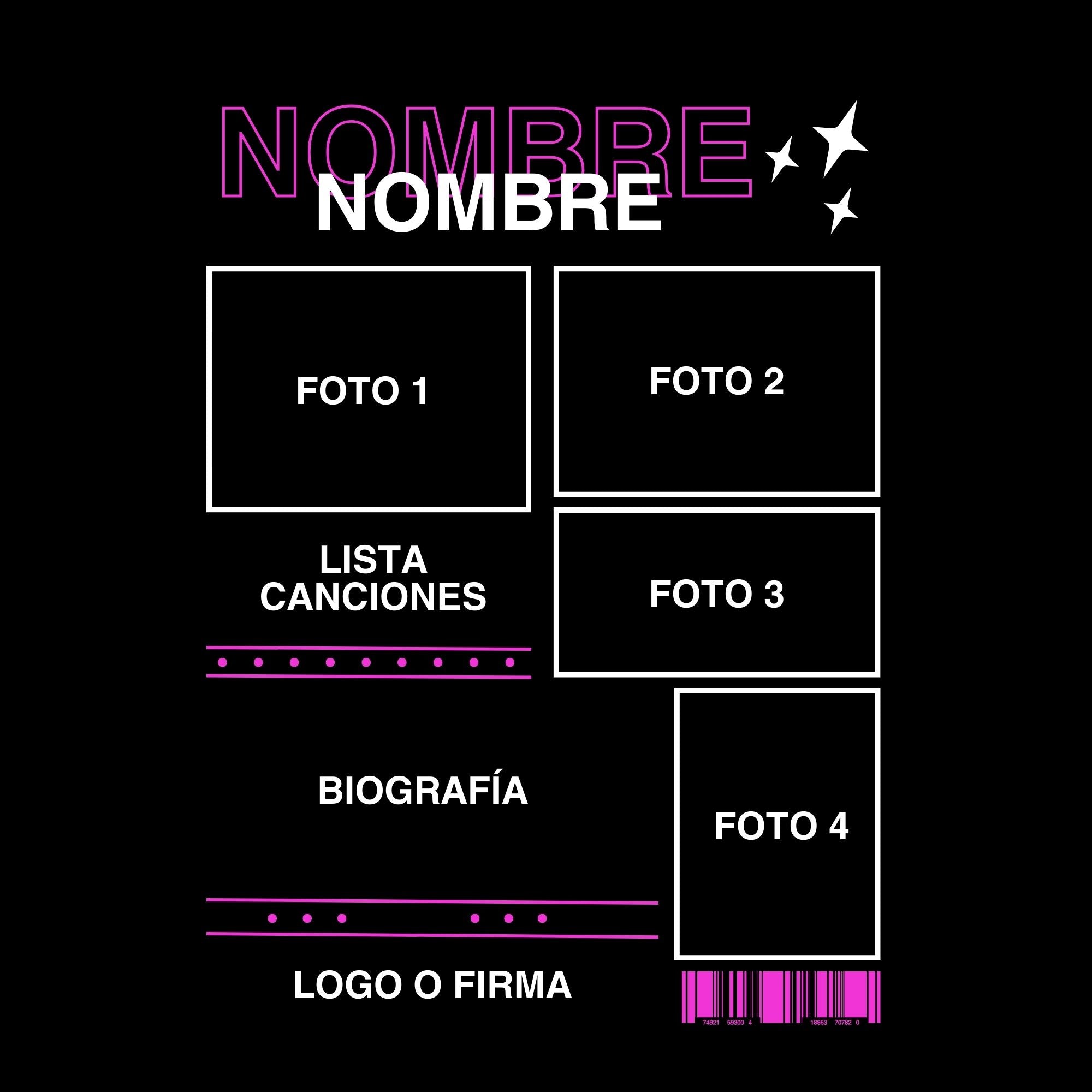 *Camiseta Performer (personaliza con tu artista favorito)