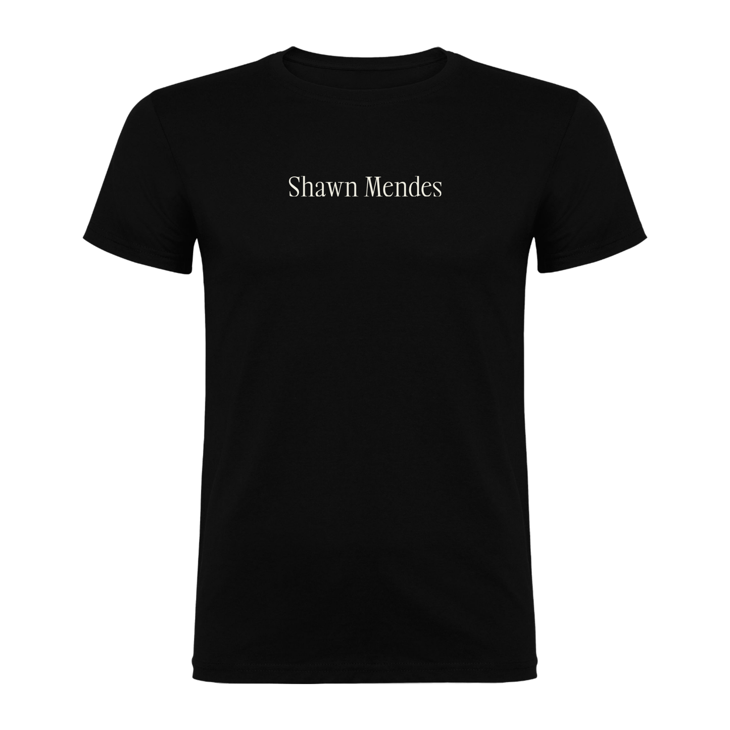 Camiseta Shawn Mendes